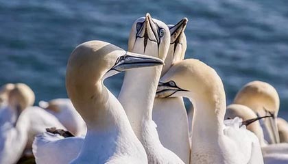 开云电竞app-快船锁死防线轻取独行侠,快船惨败独行侠51分