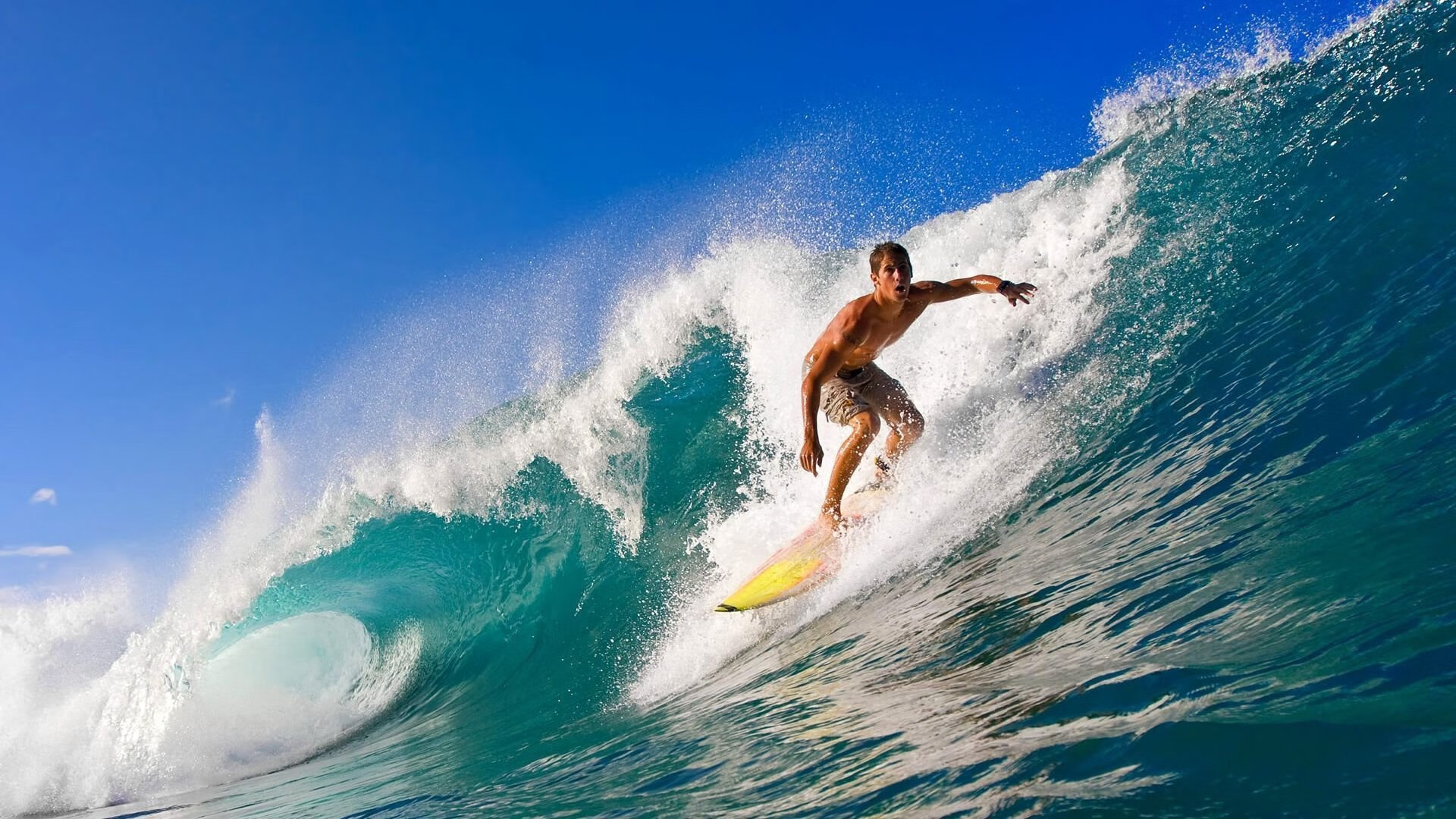 史上最壮观“冠军夜”回忆，荣耀永载史册，冠军之夜歌曲